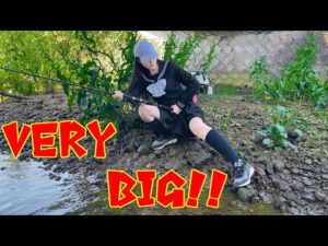 【釣り事故】次々大物を釣る元女子高生‼️がしかし…スカートめちゃくちゃハプニング再び…😱