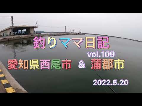 釣りママ日記vol.109愛知県西尾市&蒲郡市