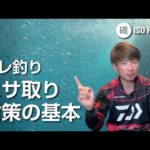 グレ釣り エサ取り対策の基本【月刊磯PRESS 2022年5月号】