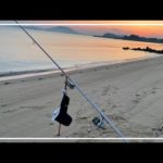 【キス釣り】5月連休のキス釣り、早朝サーフだからといって舐めてたら痛い目に遭いました