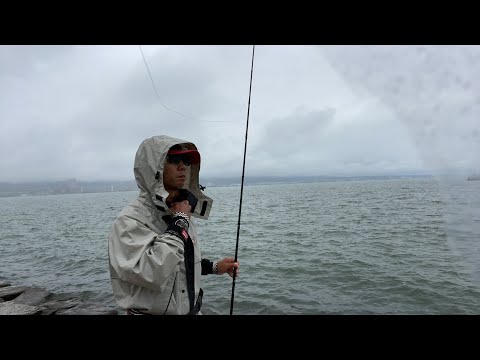 琵琶湖バス釣りライブR４-5/31