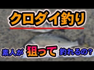 【クロダイ釣り】素人でもクロダイを狙って釣れるのかやってみた