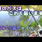 【バス釣り】　ベイトフィネスを選んでいれば… 梅雨！初夏！雨、濁り。6月のバスはこれで狙います！！　5月、3000円企画ver4