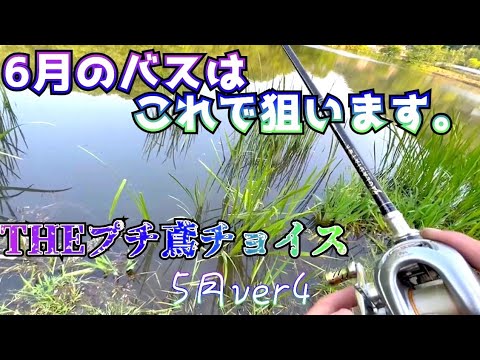【バス釣り】　ベイトフィネスを選んでいれば… 梅雨！初夏！雨、濁り。6月のバスはこれで狙います！！　5月、3000円企画ver4