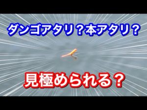 紀州釣り寝ウキのダンゴアタリと本アタリ【チヌ釣り.黒鯛釣り】