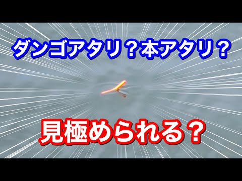 紀州釣り寝ウキのダンゴアタリと本アタリ【チヌ釣り.黒鯛釣り】