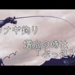 ウナギの穴釣りもライバルが増え、自分が釣れなくなったため、拗ねて増水時にウナギを釣る根端