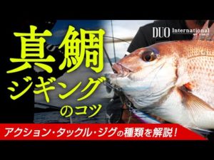 【真鯛ジギング】タックル／ジグ／アクション方法など釣り方のコツを解説