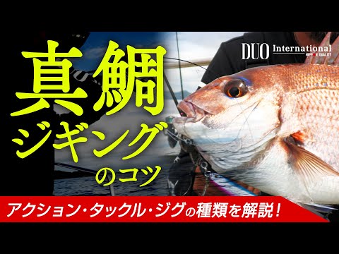 【真鯛ジギング】タックル／ジグ／アクション方法など釣り方のコツを解説