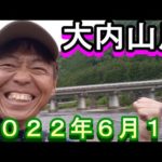 鮎釣り 大内山川 小澤剛 友釣り無双 2022年