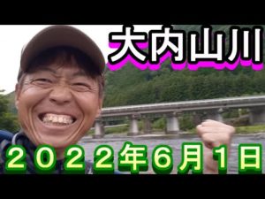 鮎釣り 大内山川 小澤剛 友釣り無双 2022年