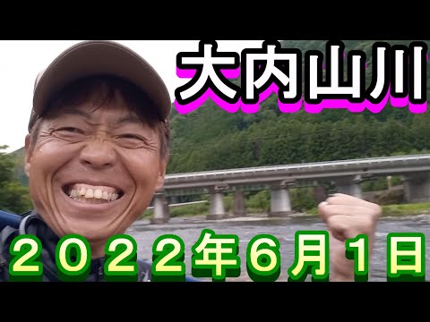 鮎釣り 大内山川 小澤剛 友釣り無双 2022年