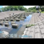 多摩川 国立の流れ込みで小物釣り。テトラの下？いや上で釣ります！緑川排水樋管。