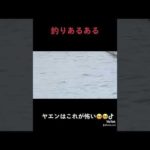 天草　通詞　エギング　釣り
