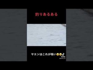 天草　通詞　エギング　釣り