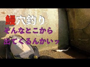 【うなぎ穴釣り】やっぱり水深1cmでしょ！【広ヲタ釣り部】