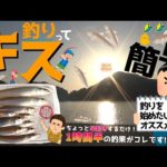 キス釣りって1時間半でこんなに釣れるから釣りを始めたい人にお勧め【初心者向けの釣り】