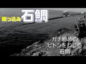 陸の孤島で石鯛釣り のっこみ腹パン石鯛釣りたいな　Ｎo1１