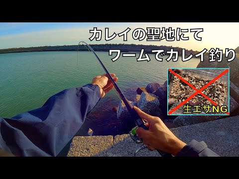 カレイ釣りの聖地ならワームでカレイ爆釣できる説！検証した結果‥