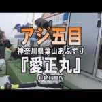 愛正丸・神奈川県葉山あぶずり港・アジ五目【釣りビジョン マガジン】