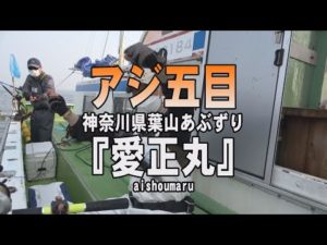 愛正丸・神奈川県葉山あぶずり港・アジ五目【釣りビジョン マガジン】