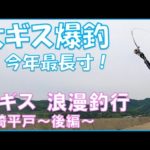 【キス投げ釣り】大ギス釣り後編！長崎平戸で尺ギスを狙う！