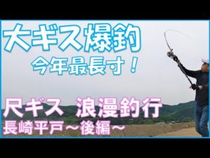 【キス投げ釣り】大ギス釣り後編！長崎平戸で尺ギスを狙う！