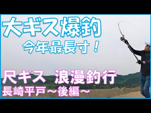 【キス投げ釣り】大ギス釣り後編！長崎平戸で尺ギスを狙う！