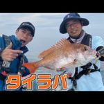 和歌山県・紀北沖のタイラバ（ガッ釣り関西#148/2022年6月4日放送）