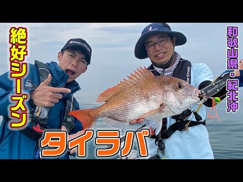 和歌山県・紀北沖のタイラバ（ガッ釣り関西#148/2022年6月4日放送）