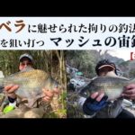 巨ベラに魅せられた拘りの釣法 野釣り大型狙いマッシュの宙釣り【後編】 （へらぶな釣り）