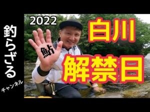 【鮎釣り解禁2022】6/11白川の解禁日！良型の美アユを釣る