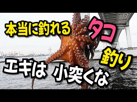 小突いちゃダメ！【誰も教えてくれない本当のタコ釣り】釣れない人、根掛かり連発の人　必見「大黒ふ頭西緑地公園」定活性のタコでもこれなら大丈夫