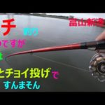 ヘチ釣り富山新港28　ヘチのつもりが前とチョイ投げですんまそん。