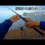 サーフで爆釣した魚で保存食作ったら、旨すぎてただの飯テロ動画になった。