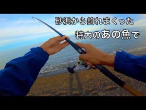サーフで爆釣した魚で保存食作ったら、旨すぎてただの飯テロ動画になった。