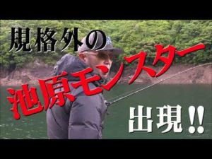新たなジャイアントベイトスタイル in 池原ダム（奈良県）【釣りビジョン番組紹介】