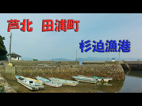 【チヌ フカセ釣り】海釣りの修行だぁ！！