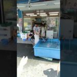 ヤマタ水産　山で海の釣り堀　タイ釣り　惜しいバージョン　イベント　榛原にぎわい市場ヤマトナ　挑戦　誰でも釣れます！