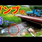ダンプの出入口の横で釣りしてたらまさかのレア魚が…！