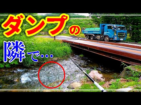 ダンプの出入口の横で釣りしてたらまさかのレア魚が…！