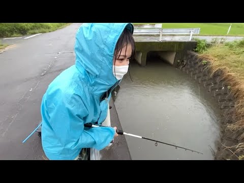 どしゃ降りのなかドブ川で釣りをしたらこうなる
