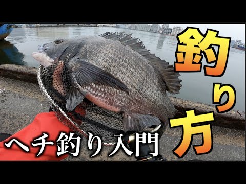１から始める‼︎ヘチ釣り講座〜実釣編〜
