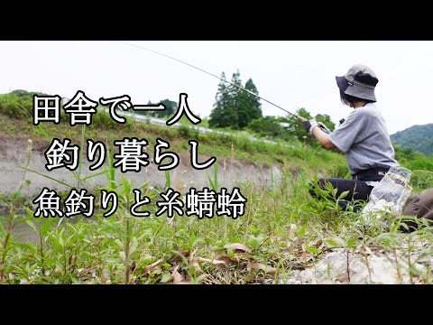田舎で一人釣り暮らし！里山で魚釣りをして遊ぶ！