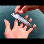 大物釣りたい。