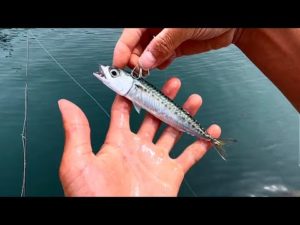 大物釣りたい。