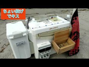 キス釣り師に見て欲しい‼️投げ釣りの現状⁉️最後までご視聴してみてください。