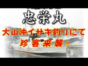 大山沖イサキ釣り中にとてつもない大きな魚出現です！