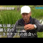 【おとな釣り倶楽部】里見栄正をも魅了する奥ゆかしきタナゴ釣りの世界