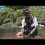 【釣り百景】#440  美しい自然の中で渓魚と出会う！ 岐阜県長良川水系のルアーフィッシング